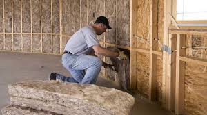 Best Eco-Friendly or Green Insulation Solutions  in Forestville, OH